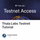 Thala Labs Testnet Tutorial