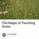 The Magic of Touching Grass