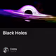 Black Holes