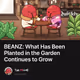 BEANZ: What Has Been Planted in the Garden Continues to Grow
