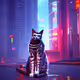 Black Cat - 6E6P1cczhe