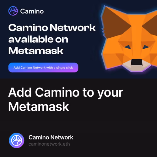 Add Camino to your Metamask