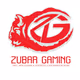 ZubarGaming