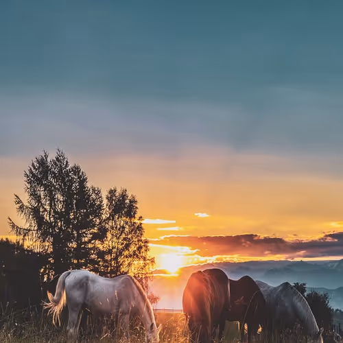 0x9a07f84b9f18be88eca738f1fa7a4aeaef29e9ab