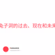 兔子洞的过去、现在和未来