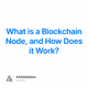 What is a Blockchain Node, and How Does it Work?