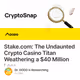Stake.com: The Undaunted Crypto Casino Titan Weathering a $40 Million Loss