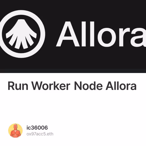 Run Worker Node Allora