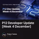 P12 Developer Update [Week 4 December]
