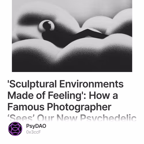 'Sculptural Environments Made of Feeling': How a Famous Photographer ‘Sees’ Our New Psyche