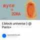 { block universe } @ Paris+