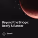 Beyond the Bridge: Beefy & Bancor