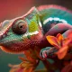 Bukelamun Rainbow NFT