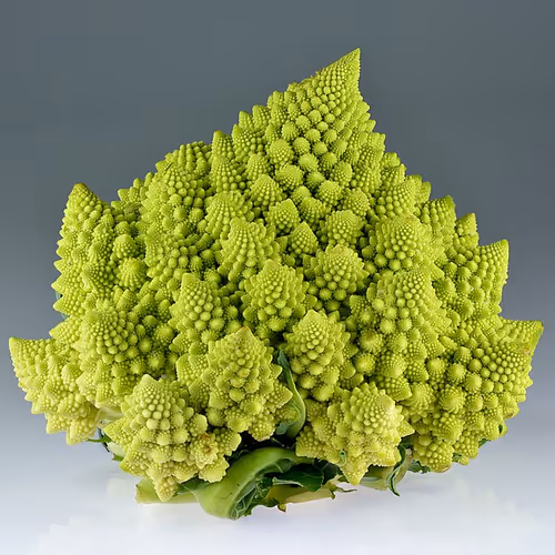 Romanescu