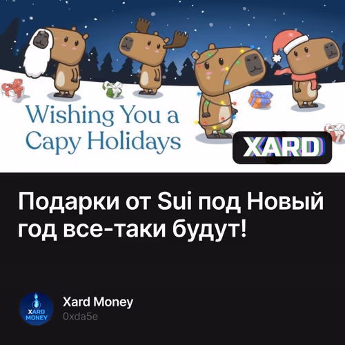 Подарки от Sui под Новый год все-таки будут!