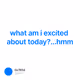 what am i excited about today?...hmm
