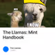The Llamas: Mint Handbook