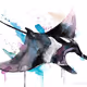 MANTA