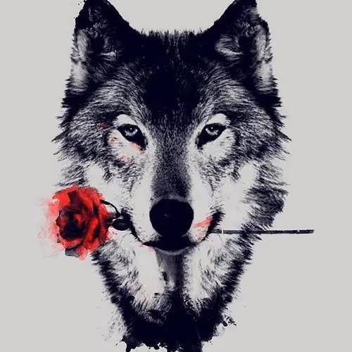 Optimism Wolf