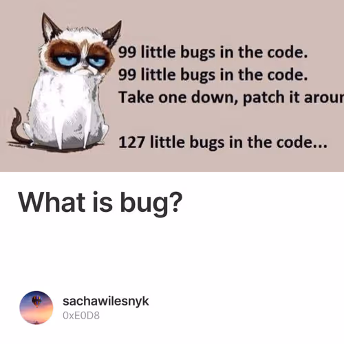 What is bug?