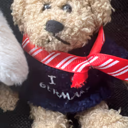 アイテム メディア プレースホルダー