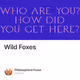 Wild Foxes V3