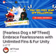 [Fearless Dog x NFTFeed] Embrace Fearlessness with Unlimited Fins & Fur Unity NFT