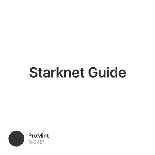 Starknet Guide