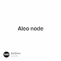 Aleo node