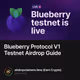 Blueberry Protocol V1 Testnet Airdrop Guide