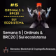 Semana 5 | Ordinals & BRC20 | Sui ecosistema