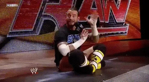 CM PUNK IZ BACK