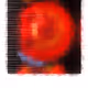 opty