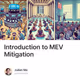 Introduction to MEV Mitigation