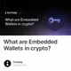 What are Embedded Wallets in crypto?