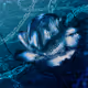 XTincT - TW1N_FLVM3