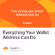 Everything Your Wallet Address Can Do