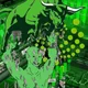 Pump Wojak Meme