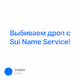 Выбиваем дроп с Sui Name Service!