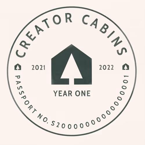 Cabin The First Year