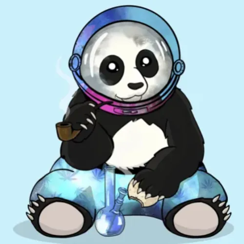 项目媒体占位符