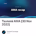 Tsunami AMA [30 Nov 2022]