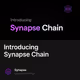 Introducing Synapse Chain