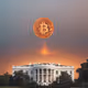 BTC President