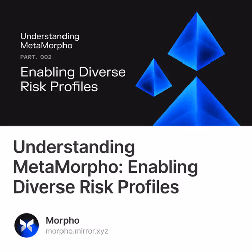 Understanding MetaMorpho: Enabling Diverse Risk Profiles