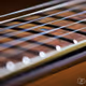 Gitar Koleksiyon