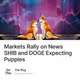 Markets Rally on News SHIB and DOGE Expecting Puppies