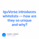 IguVerse introduces whitelists  how are they so unique and why