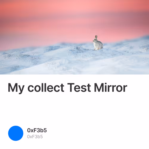 My collect Test Mirror