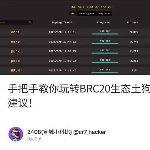 手把手教你玩转BRC20生态土狗币，保姆式教程，本教程只作教程分享，不作投资建议！
